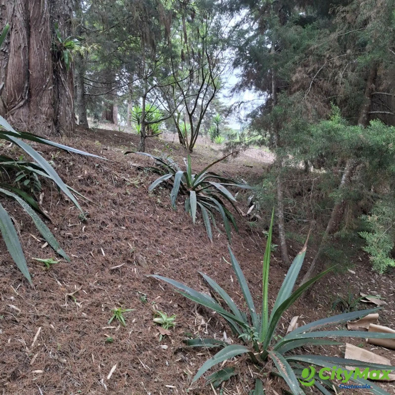 En Venta Terreno en Villa Ecuestre El Pulté Guatemala - foto 2