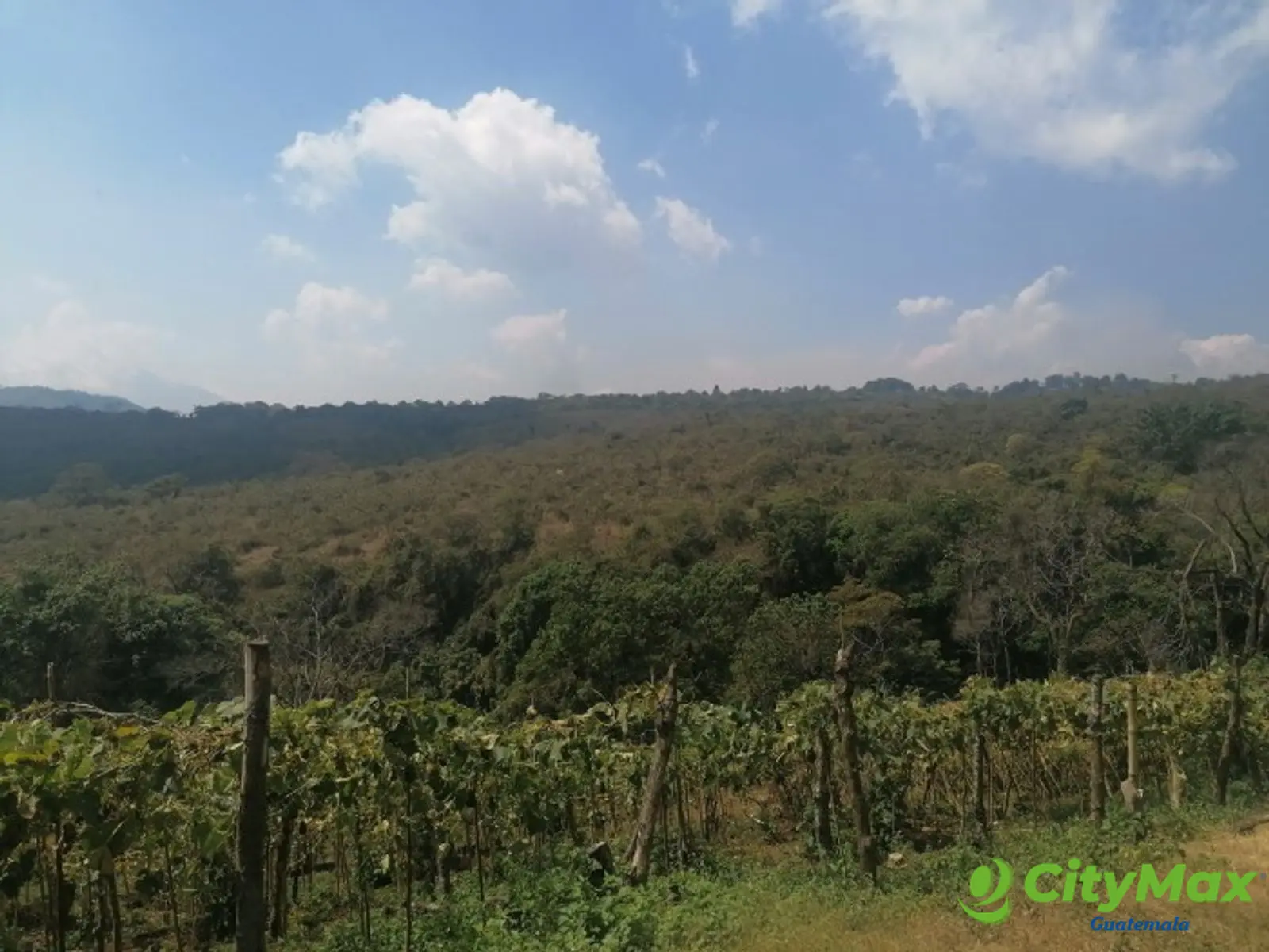 Vendo Terreno para desarrollo en Carretera El Salvador - foto 5