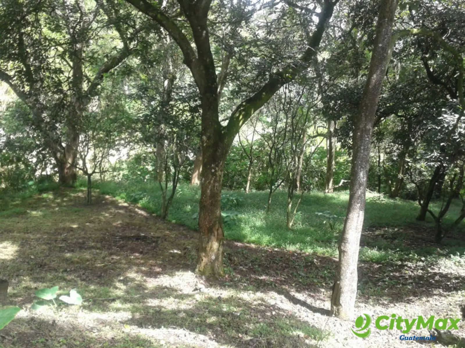 En venta terreno en zona 15 Colonia Trinidad - foto 12
