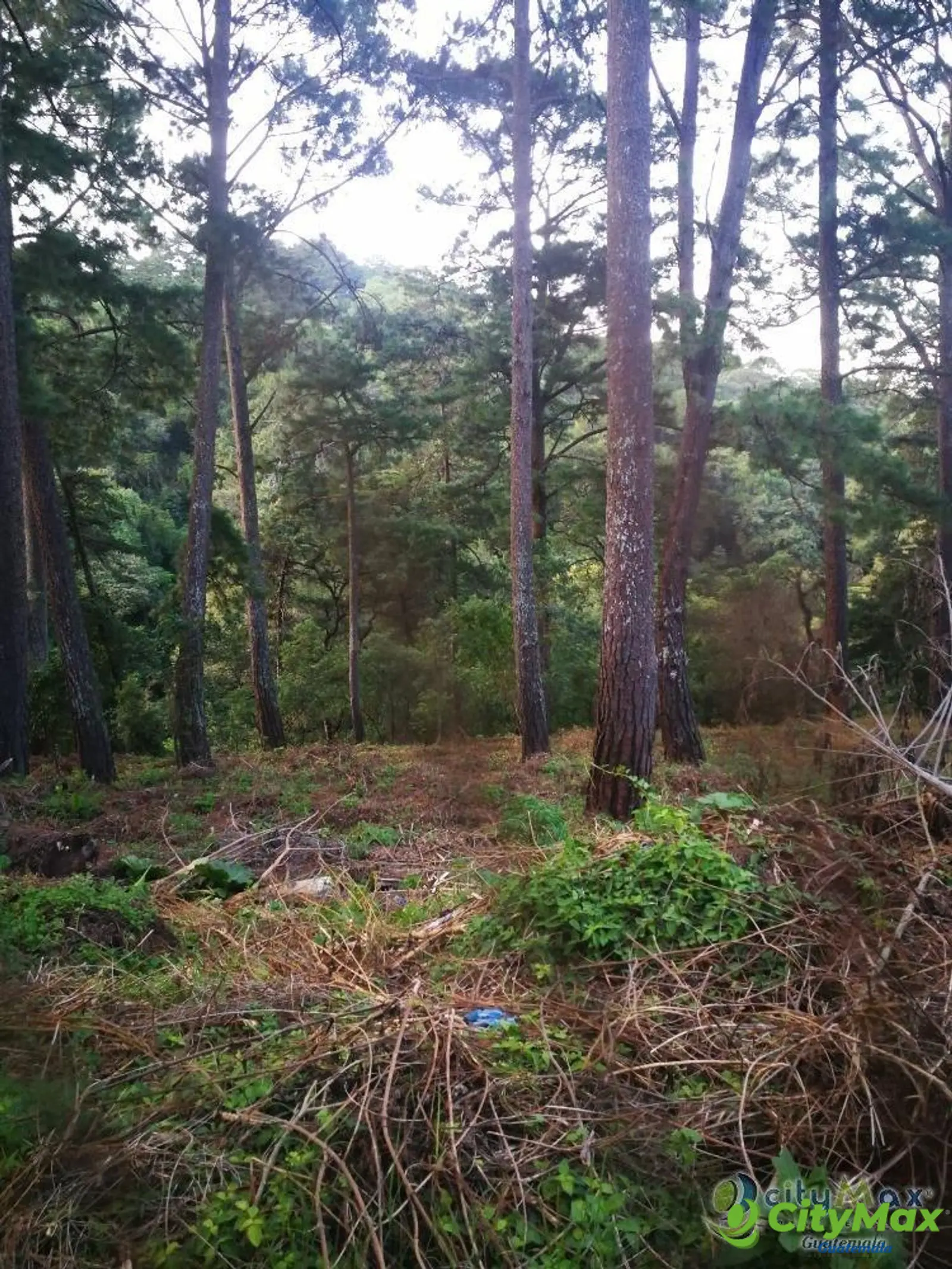 Terreno residencial en venta en Los Pinos Mixco zona 7 - foto 13