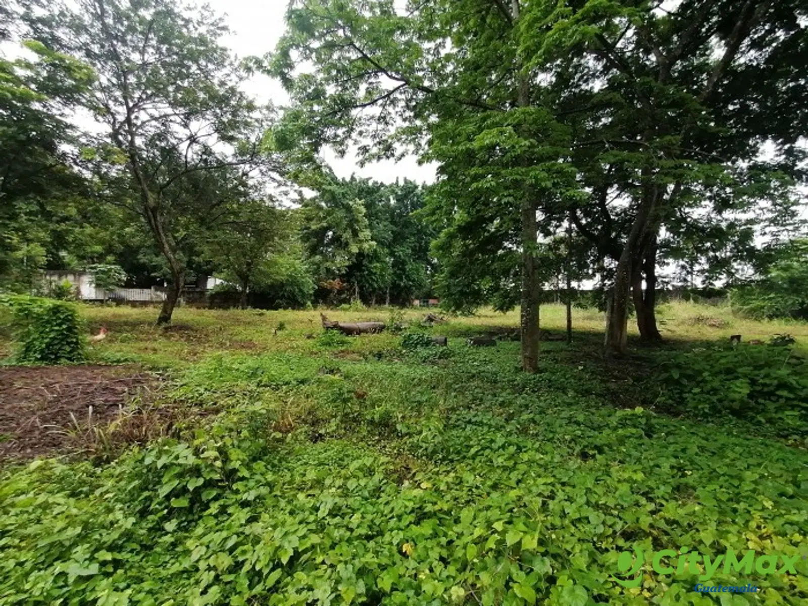 Terreno Plano en Venta Quintas Vallarta Taxisco - foto 13
