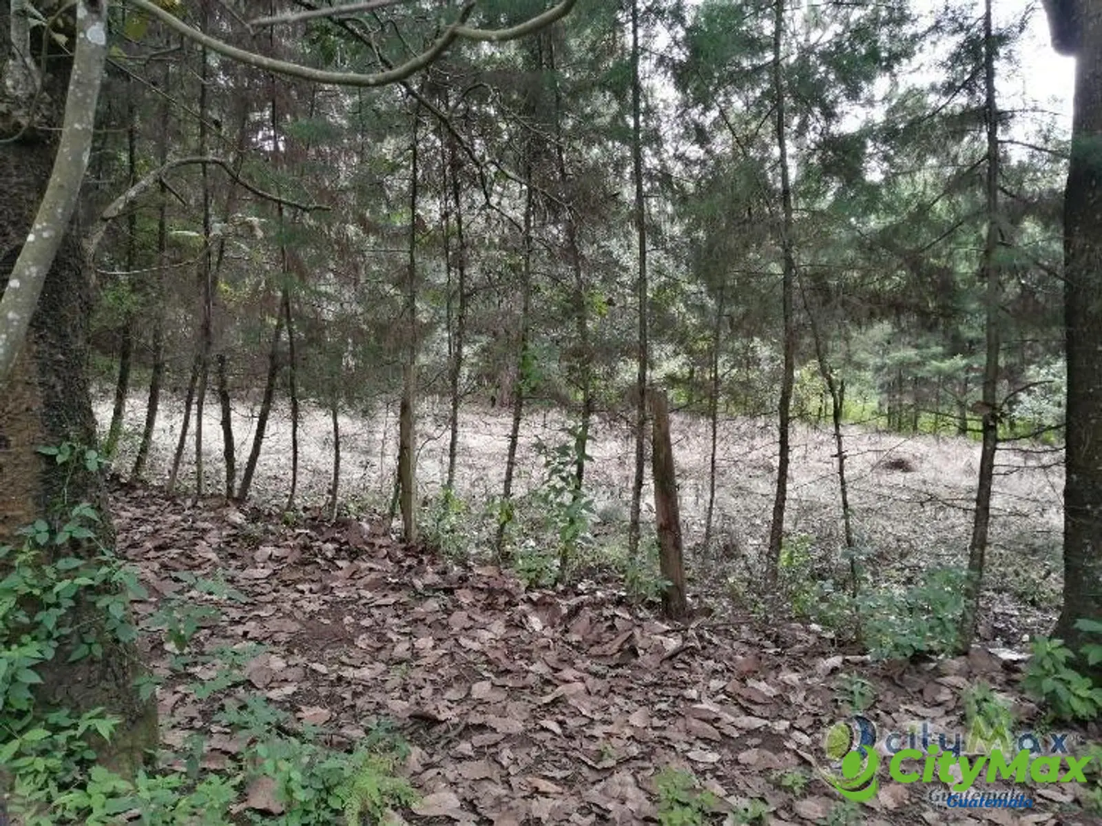 Terreno En Venta Los Horizontes Santo Domingo Xenacoj - foto 3