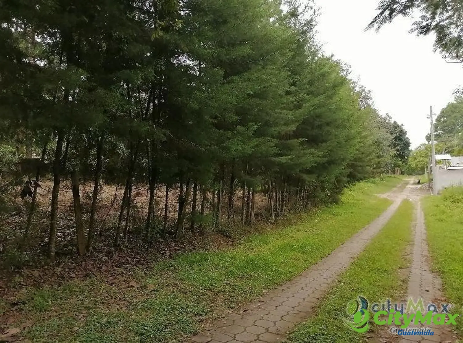 Terreno En Venta Los Horizontes Santo Domingo Xenacoj - foto 4