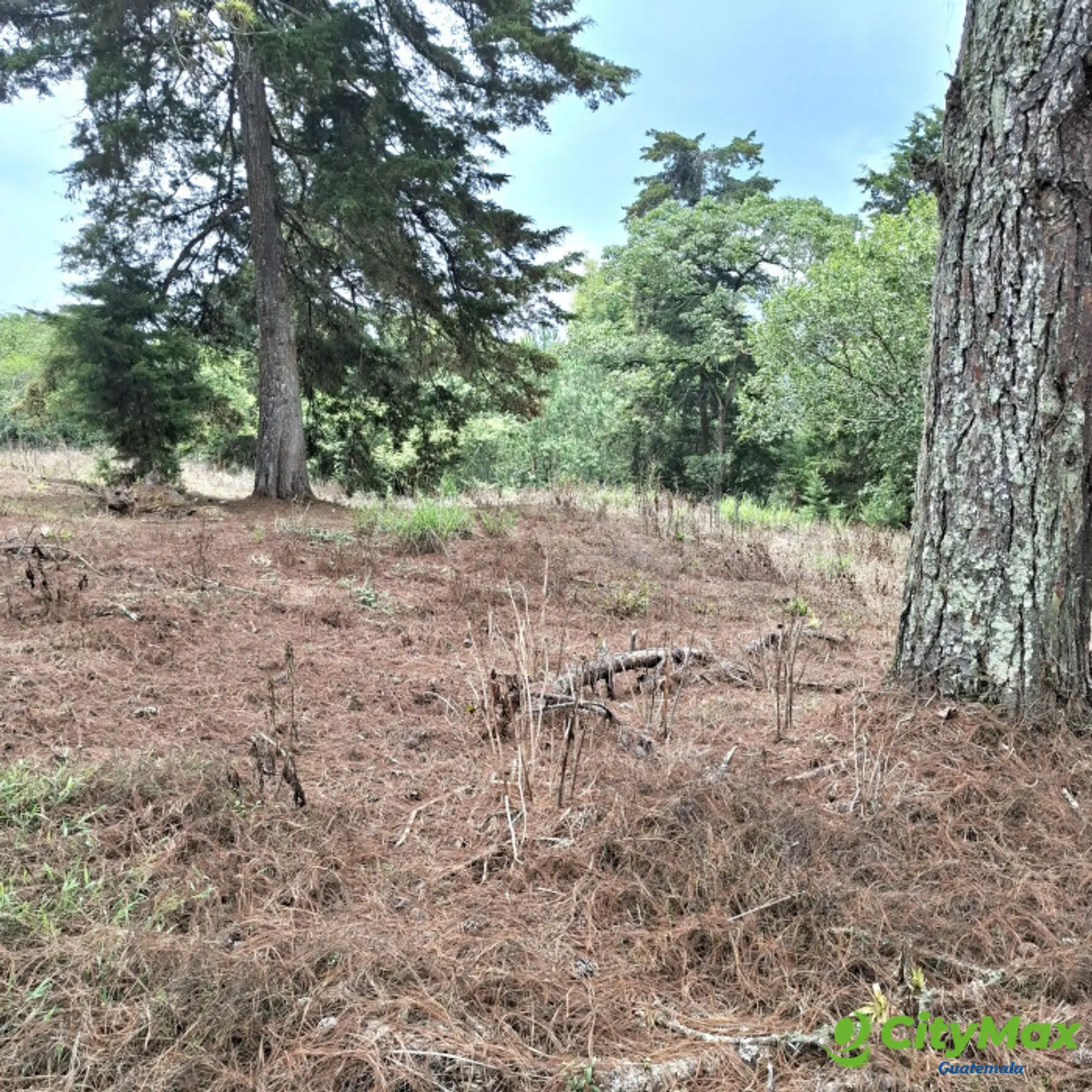 En Venta Terreno en Villa Ecuestre El Pulté Guatemala - foto 8