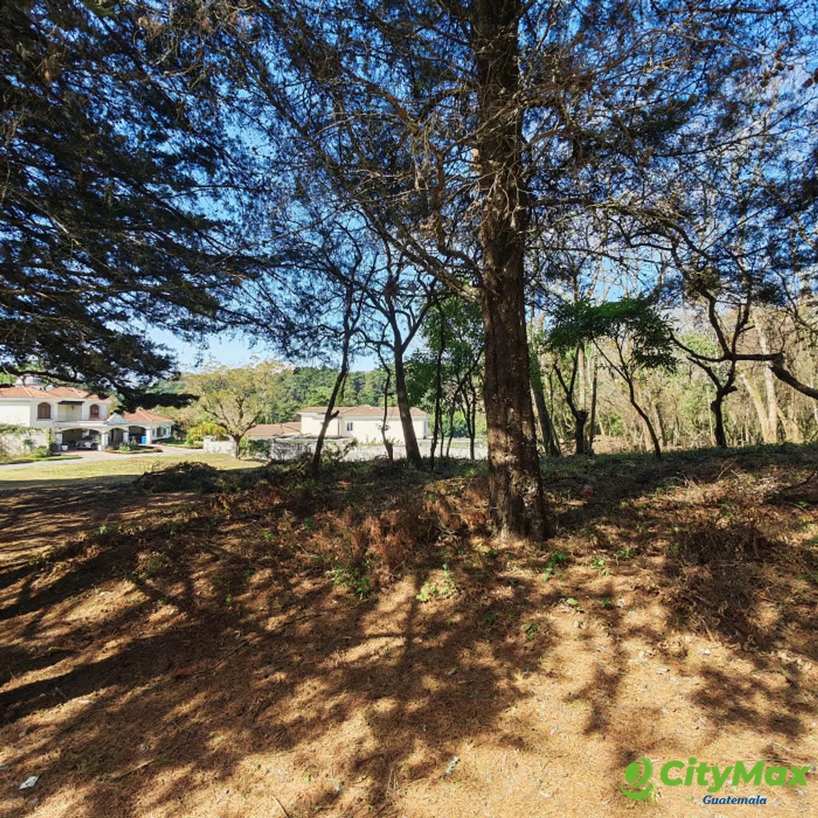 Terreno en Casa & Campo en Venta - foto 3