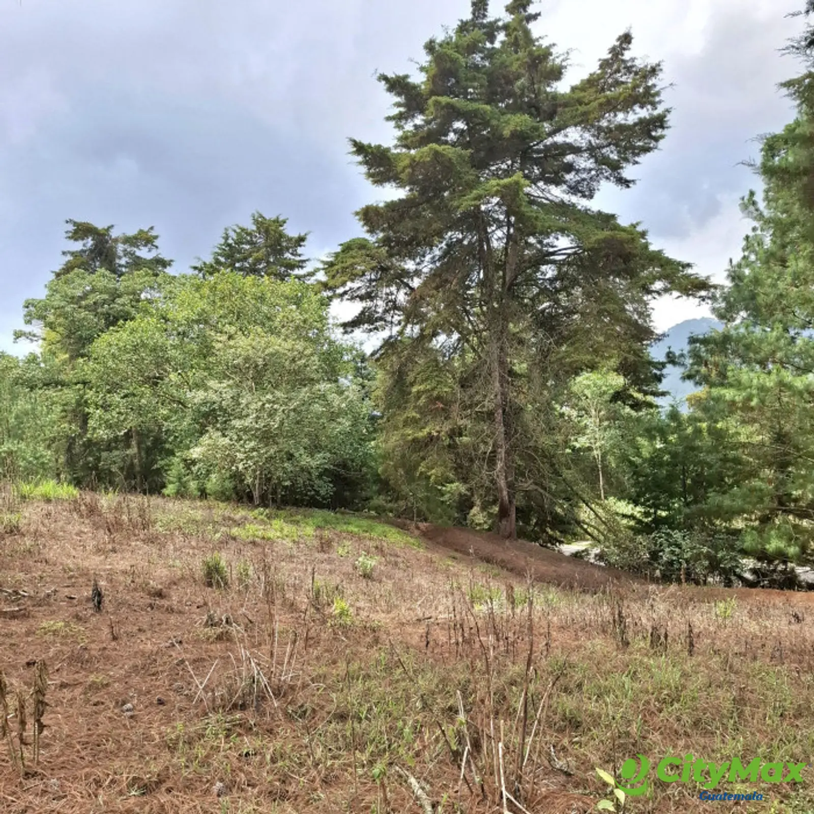 En Venta Terreno en Villa Ecuestre El Pulté Guatemala - foto 5