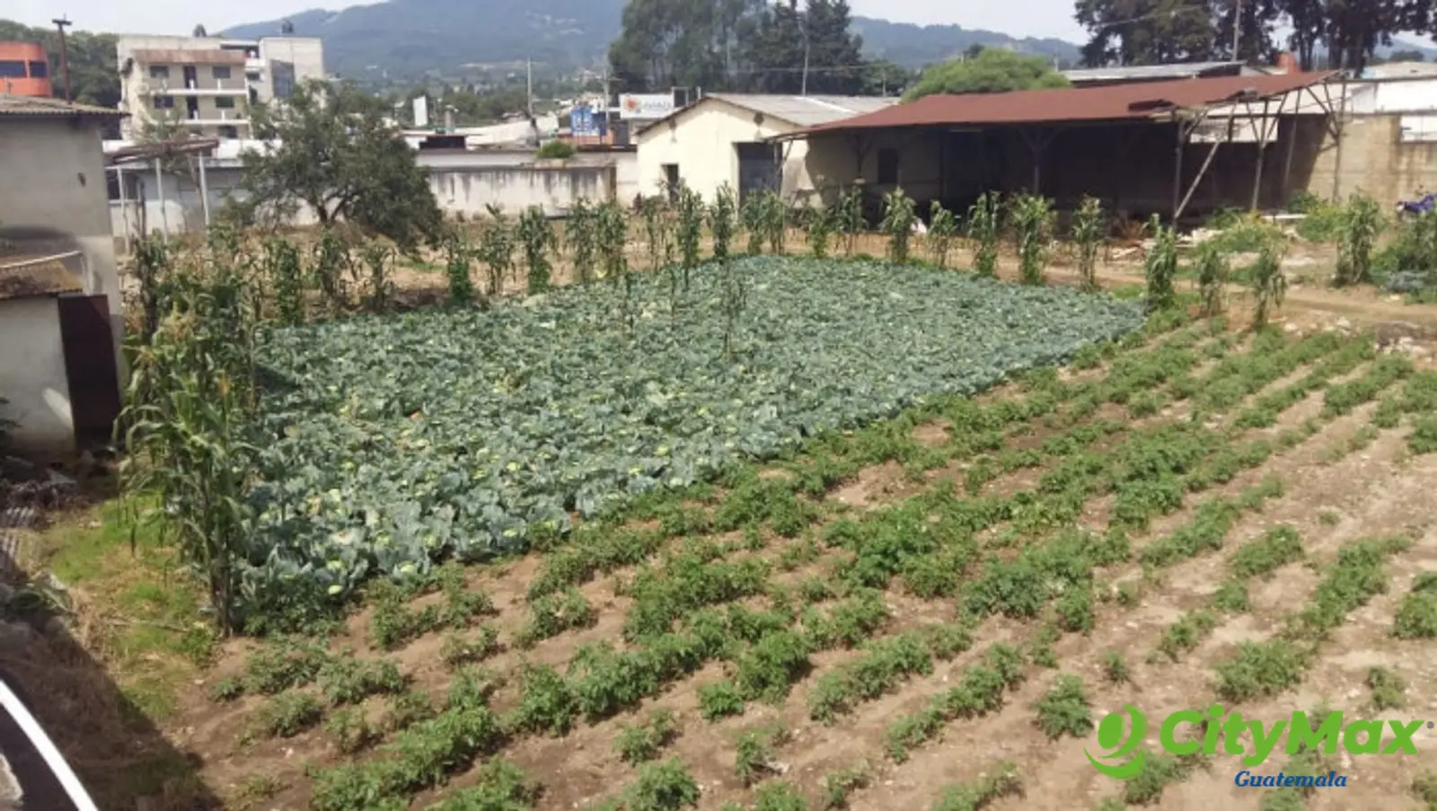TERRENO en VENTA Ideal Inversionistas en Quetzaltenango - foto 4
