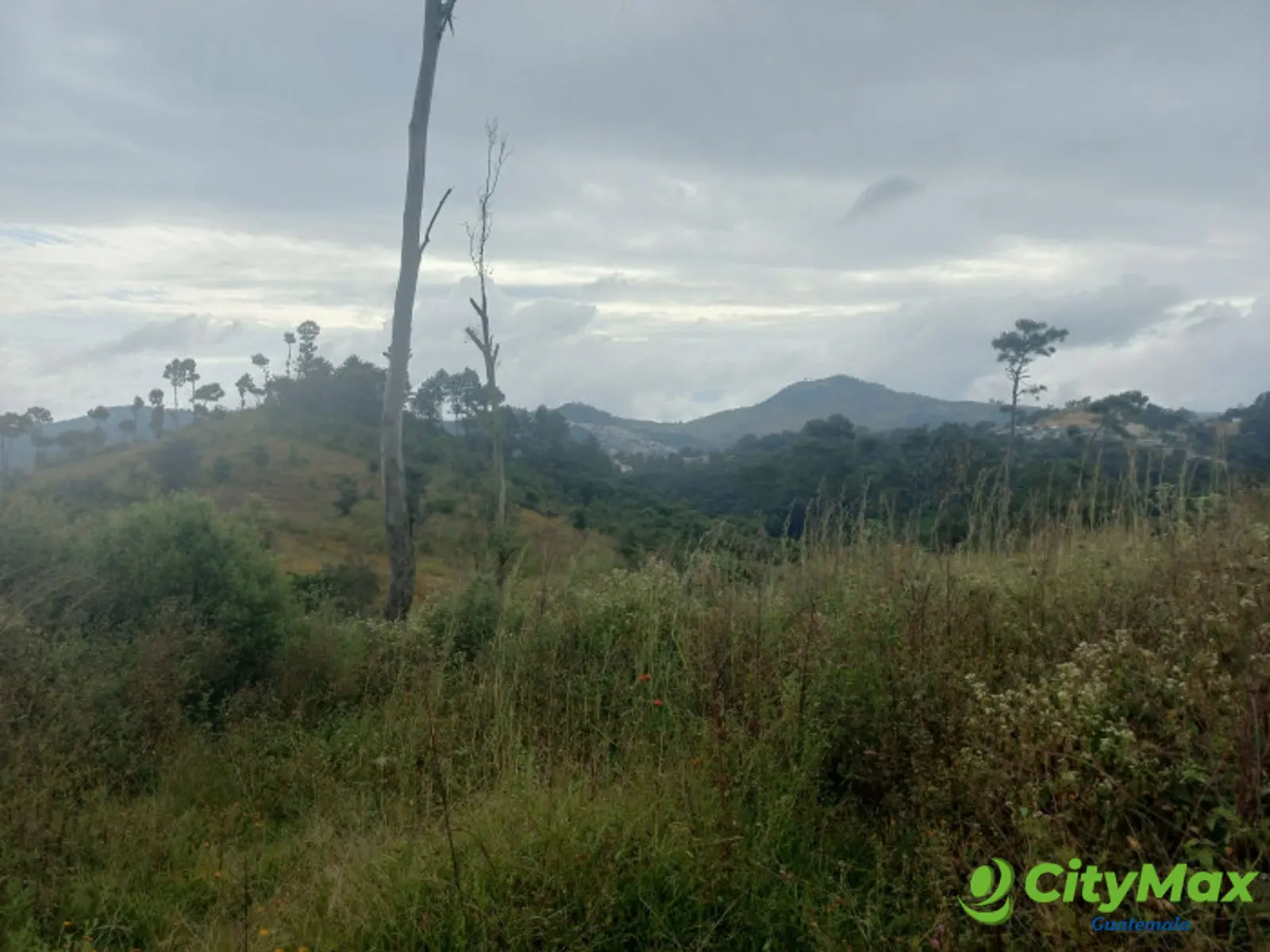Terreno Comercial área San Pedro Ayampuc - foto 13