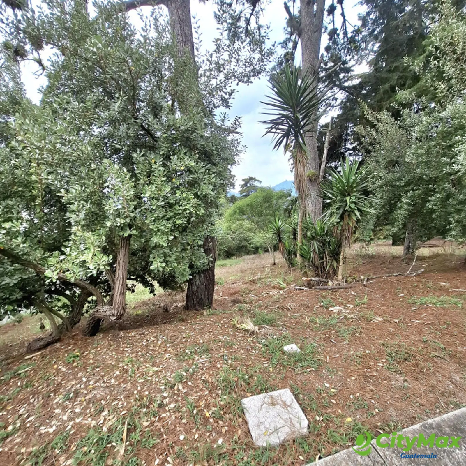 Terreno en Venta en Zona 16 El Pulté Guatemala - foto 3
