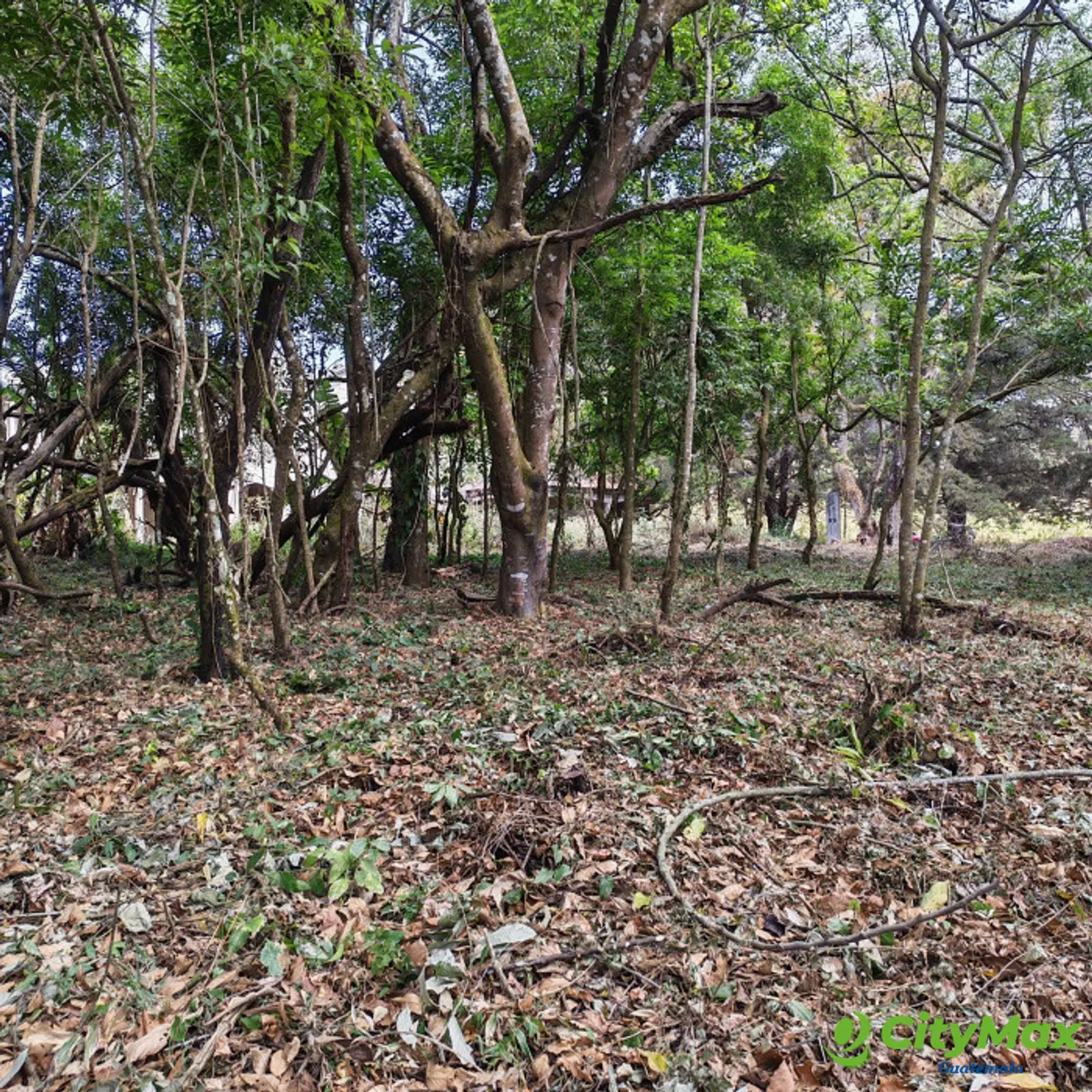 En Venta Terreno en Casa & Campo Guatemala - foto 10