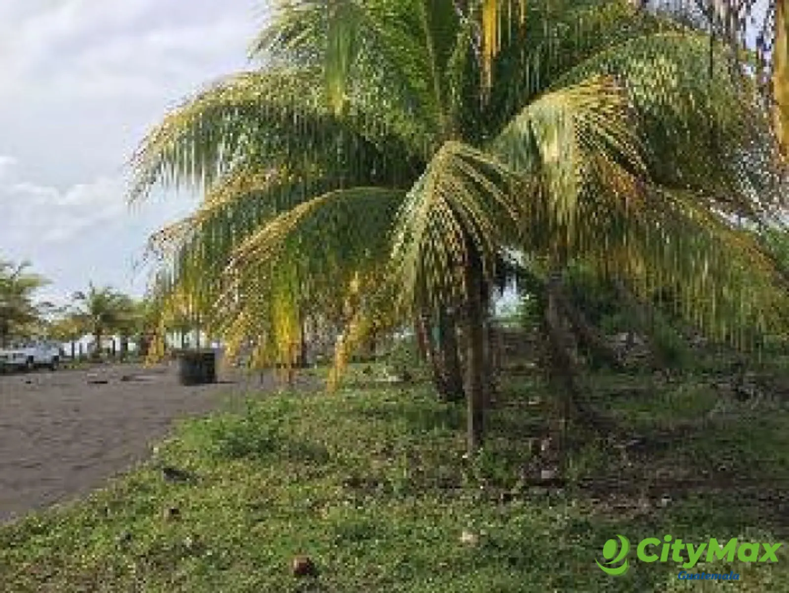 Terreno en Venta Cercano a Juan Gaviota Escuintla - foto 4