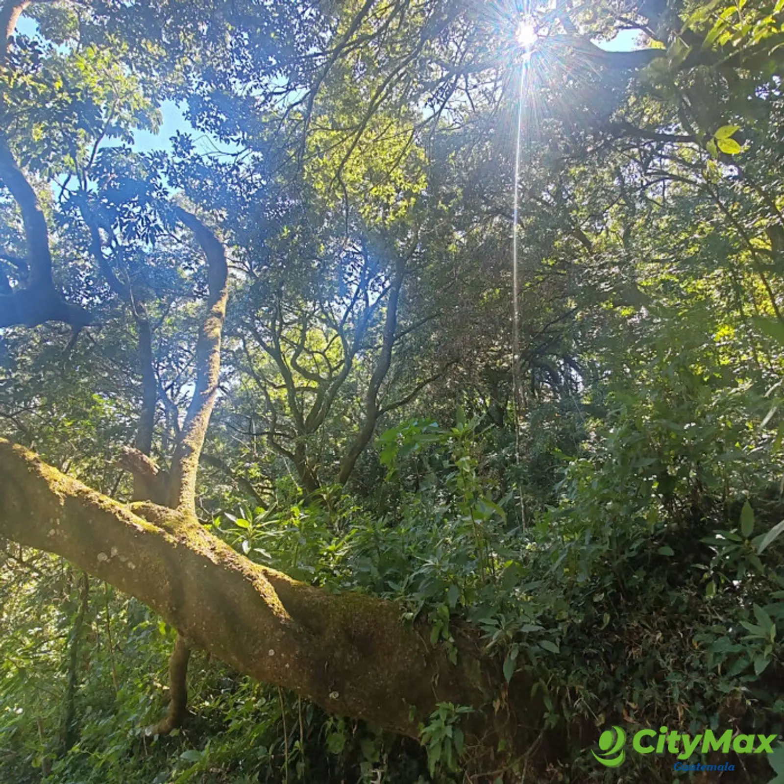 Finca en Venta de 9 manzanas en Fraijanes Guatemala - foto 10