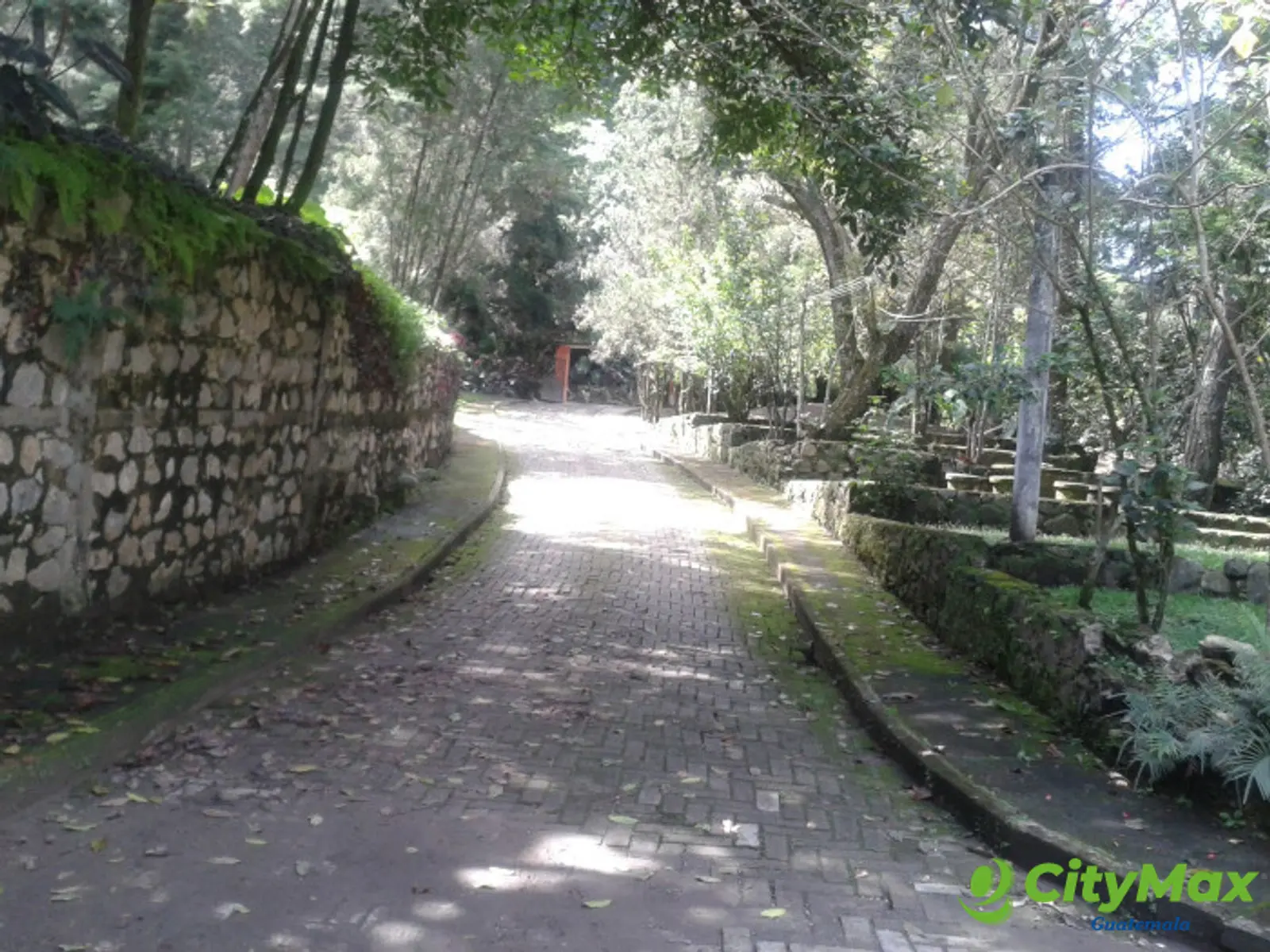 En venta terreno en zona 15 Colonia Trinidad - foto 3