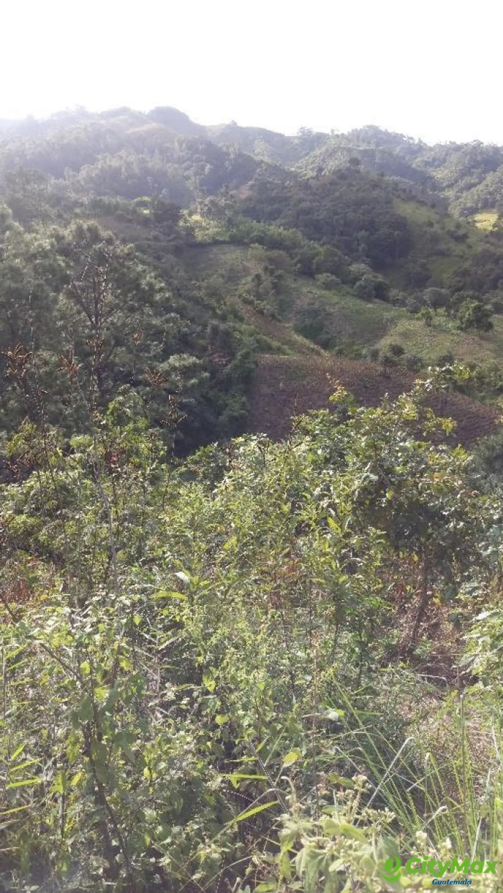 Finca en venta en San Pedro Ayampuc de 7.6 Manzanas - foto 15