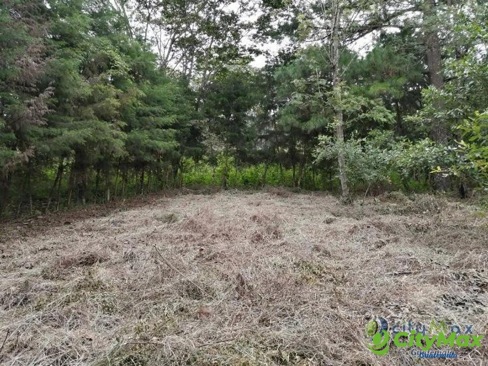 Terreno En Venta Los Horizontes Santo Domingo Xenacoj - foto 2
