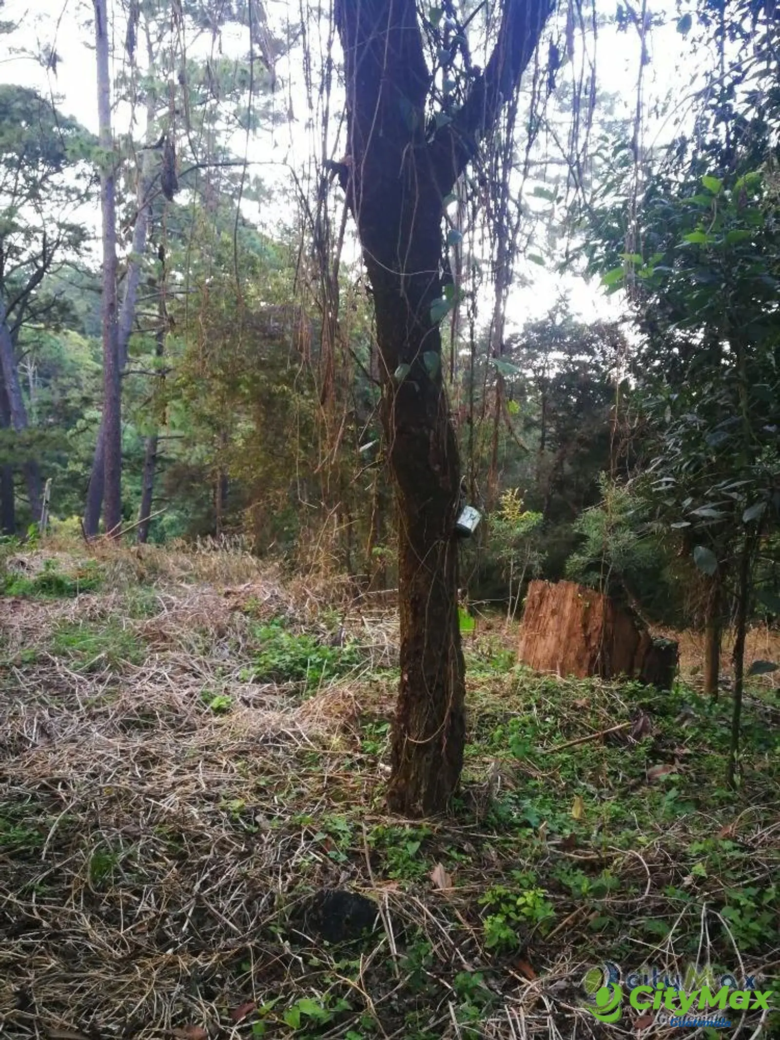 Terreno residencial en venta en Los Pinos Mixco zona 7 - foto 15