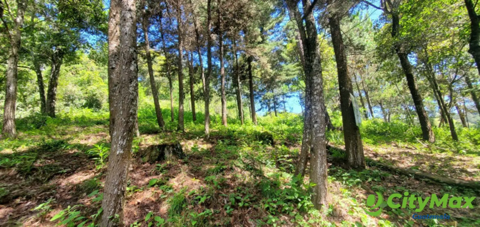 Rancho Verde Fraijanes Lote en venta - foto 14
