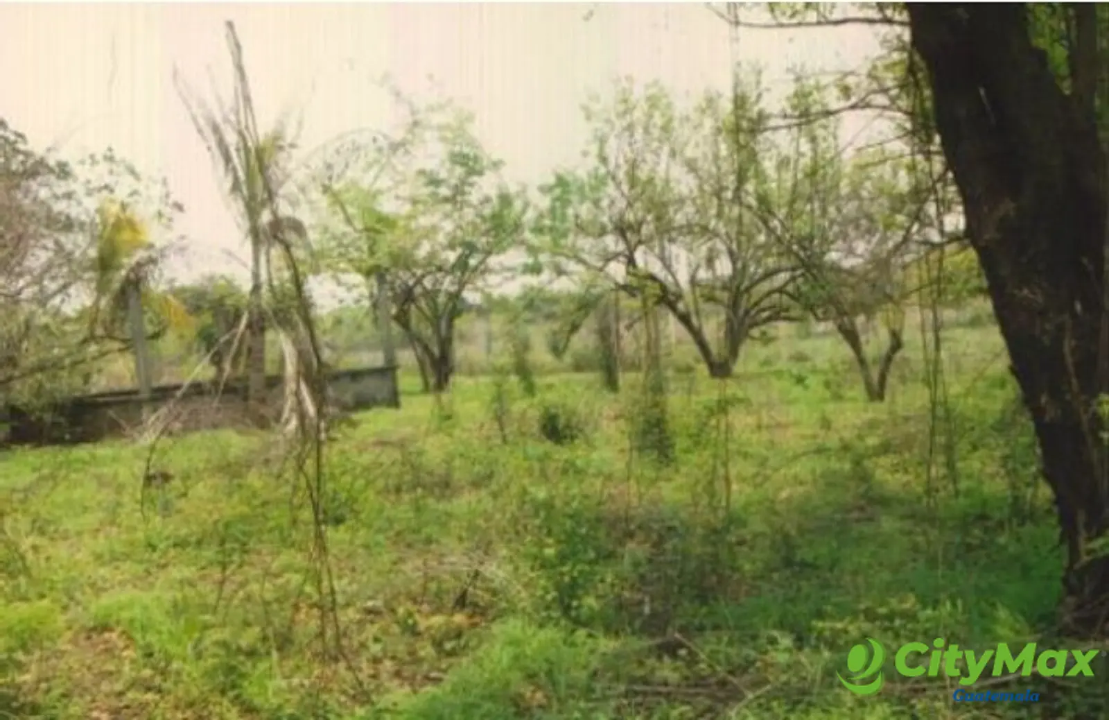 Terreno en venta Costa Linda Autopista Puerto Quetzal - foto 6