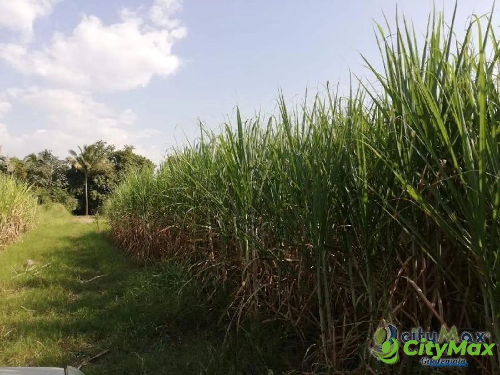 Finca en venta de 115,711.70 vrs. en Masagua, Escuintla - foto 6
