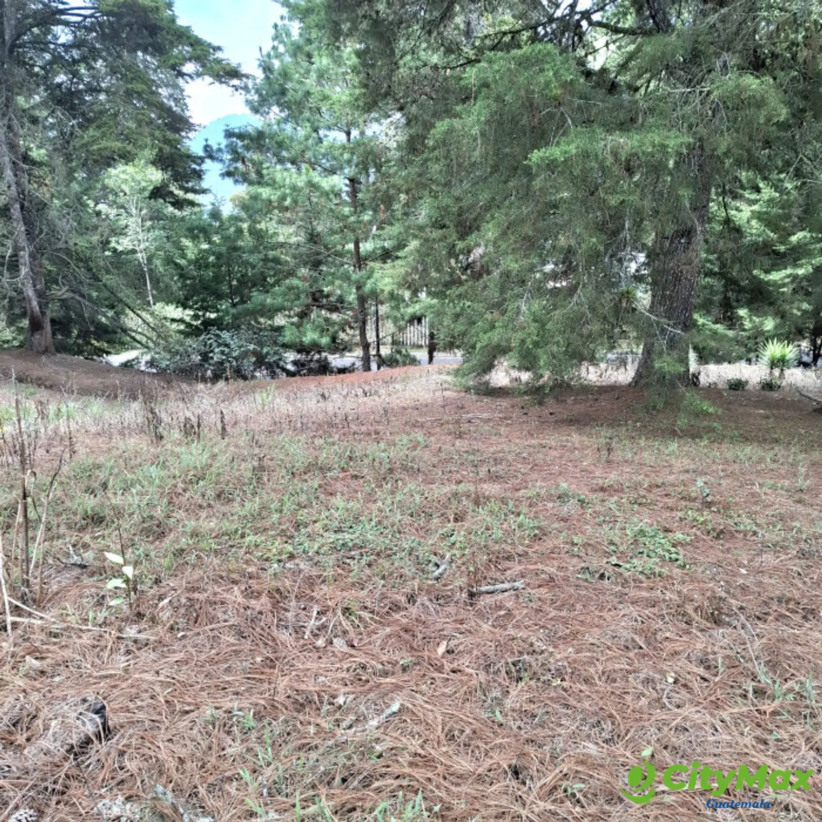 Terreno en VENTA en Zona 16 El Pulté Villa Ecuestre - foto 6