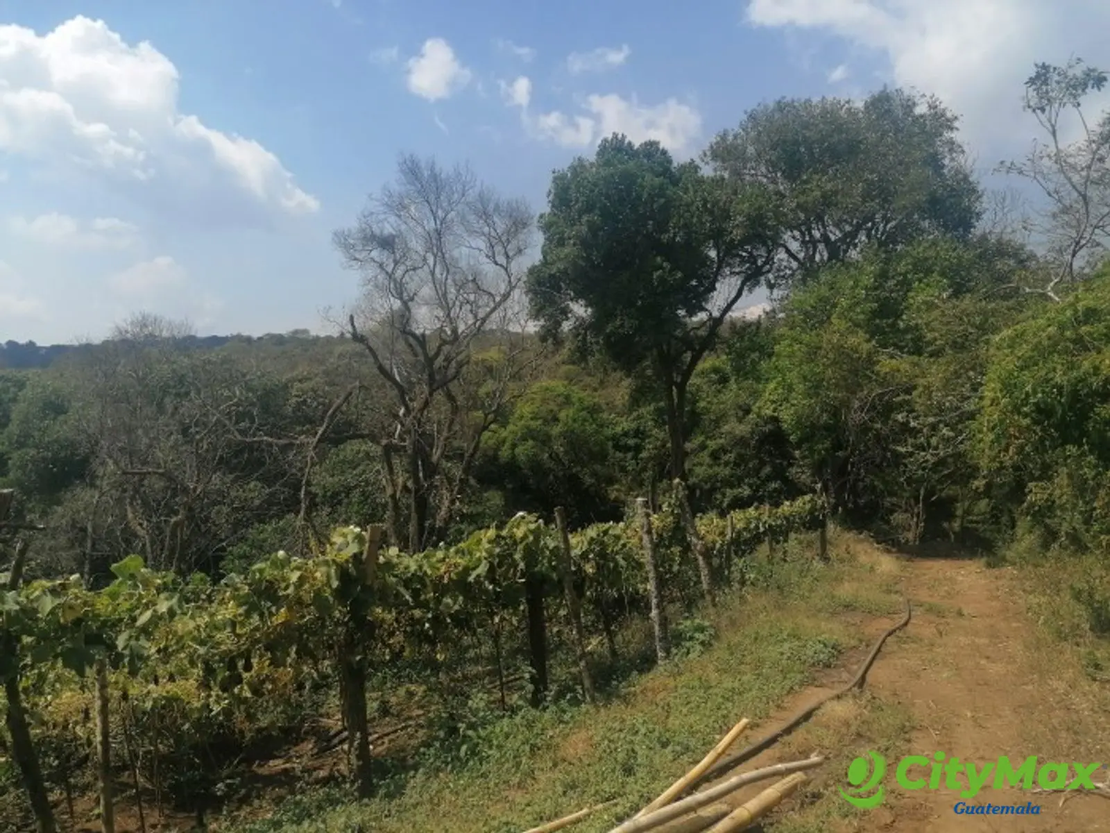 Vendo Terreno para desarrollo en Carretera El Salvador - foto 7