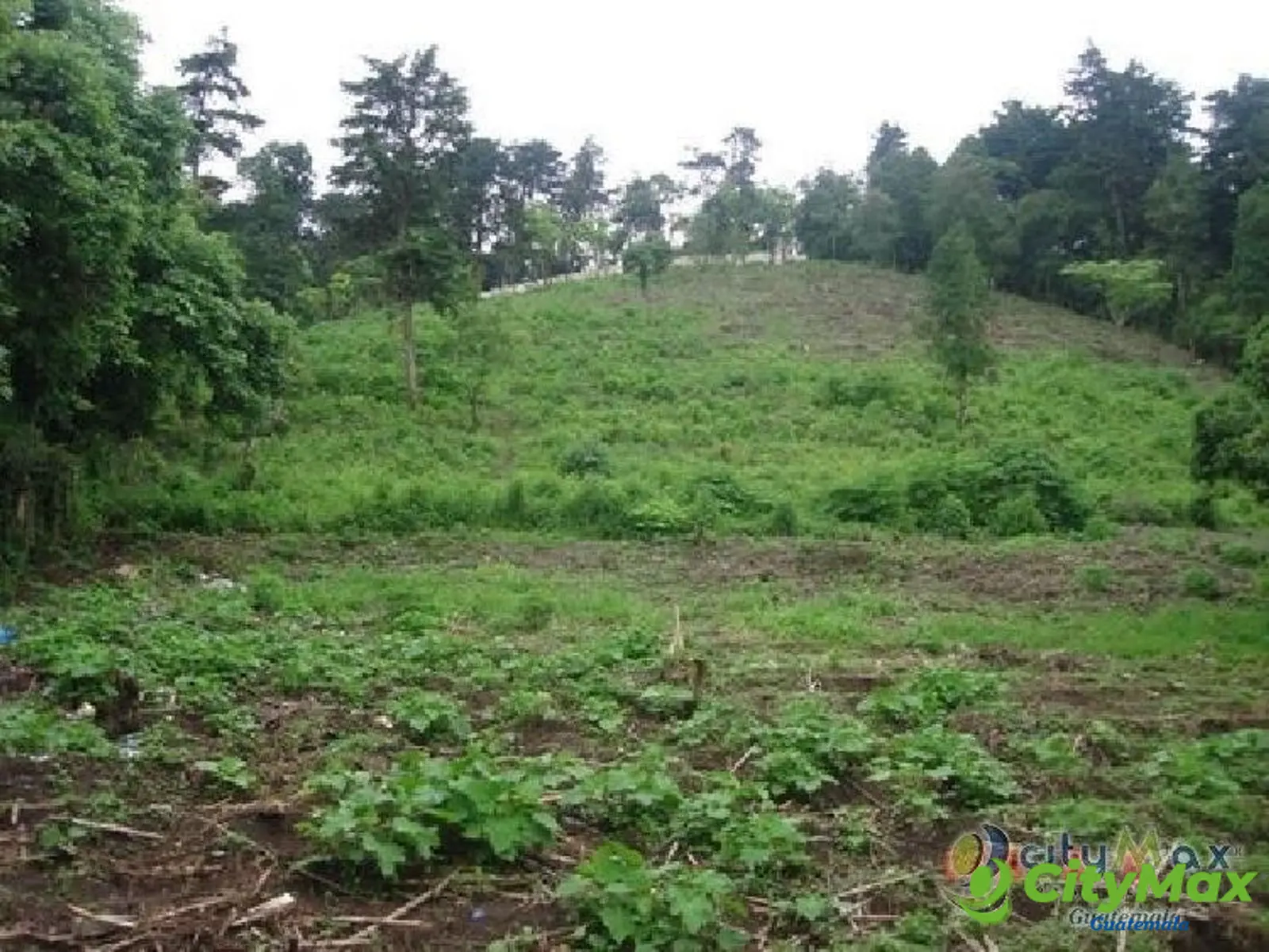 Terreno en Venta para desarrollar cienaga grande - foto 7