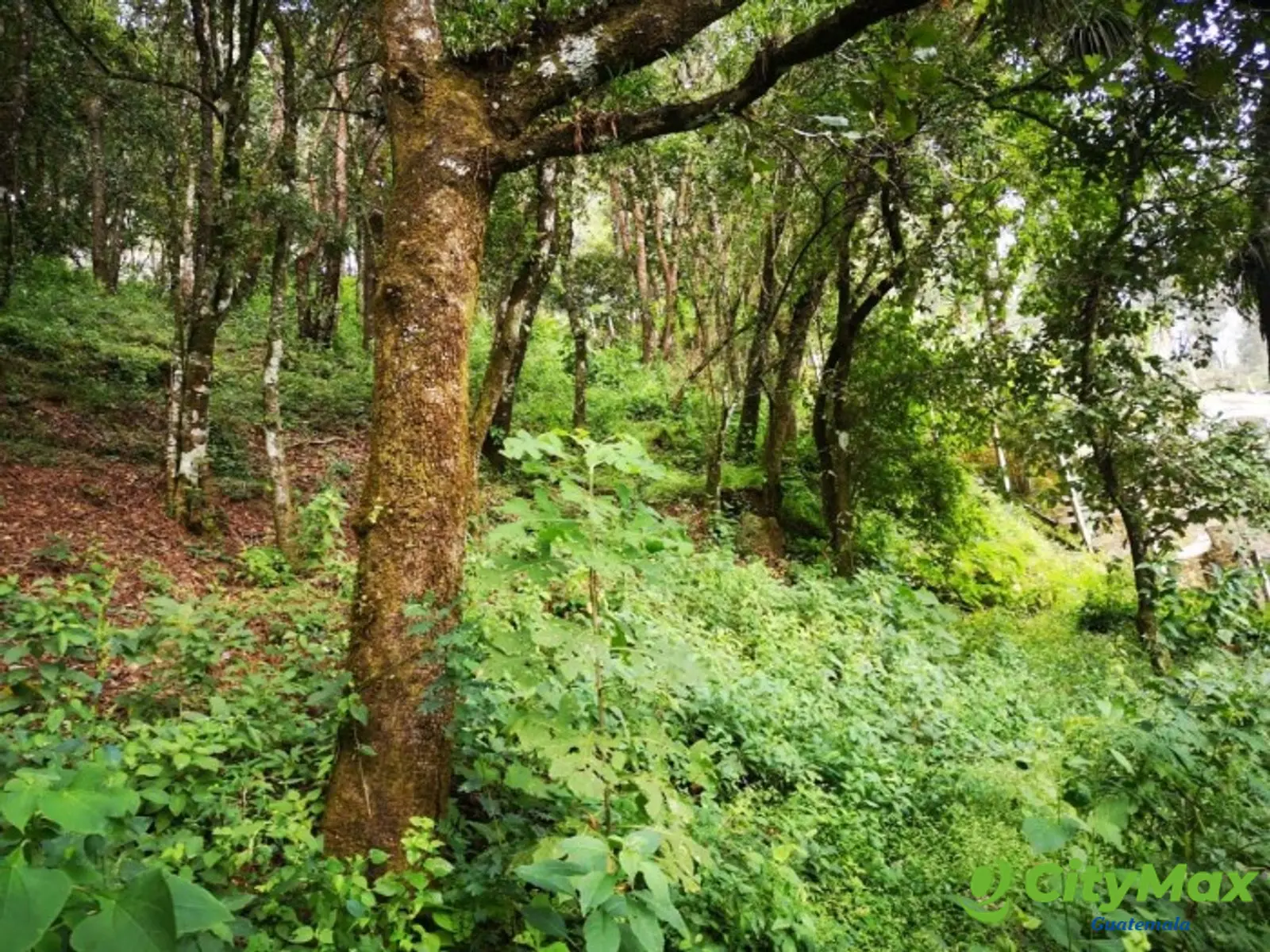 Terreno en Venta El Encinal Mixco - foto 8