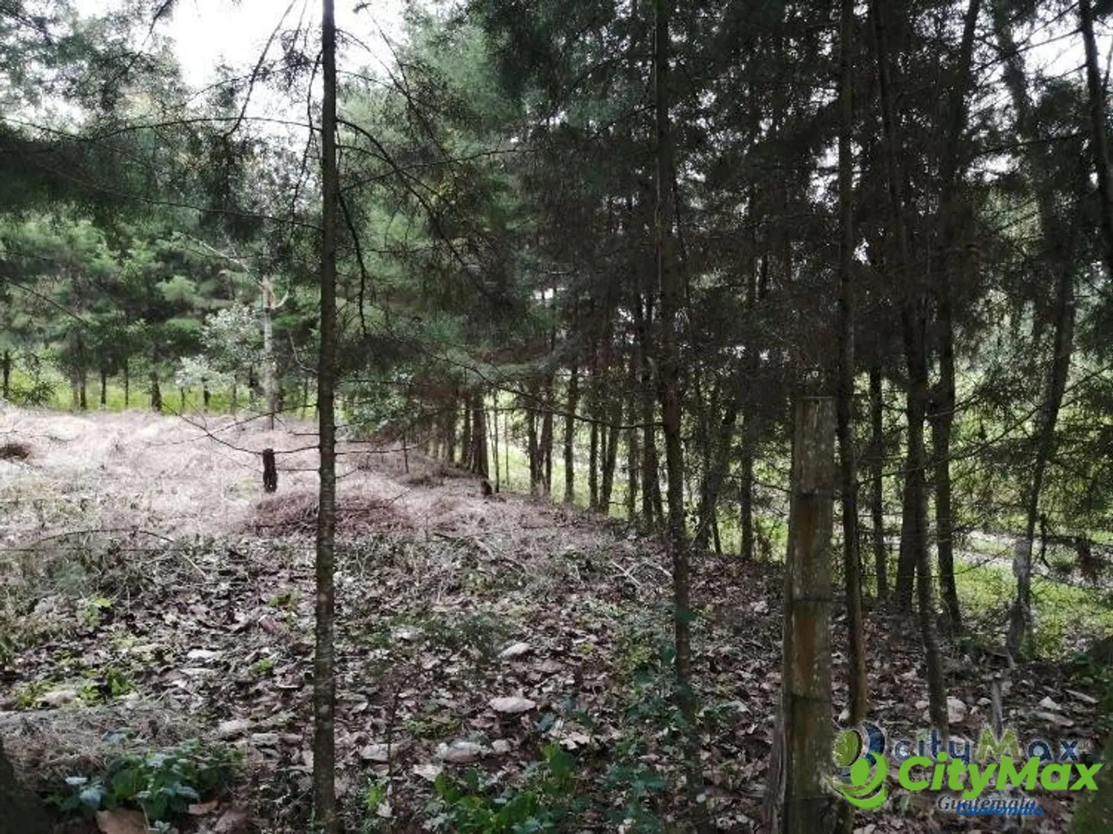 Terreno En Venta Los Horizontes Santo Domingo Xenacoj - foto 6