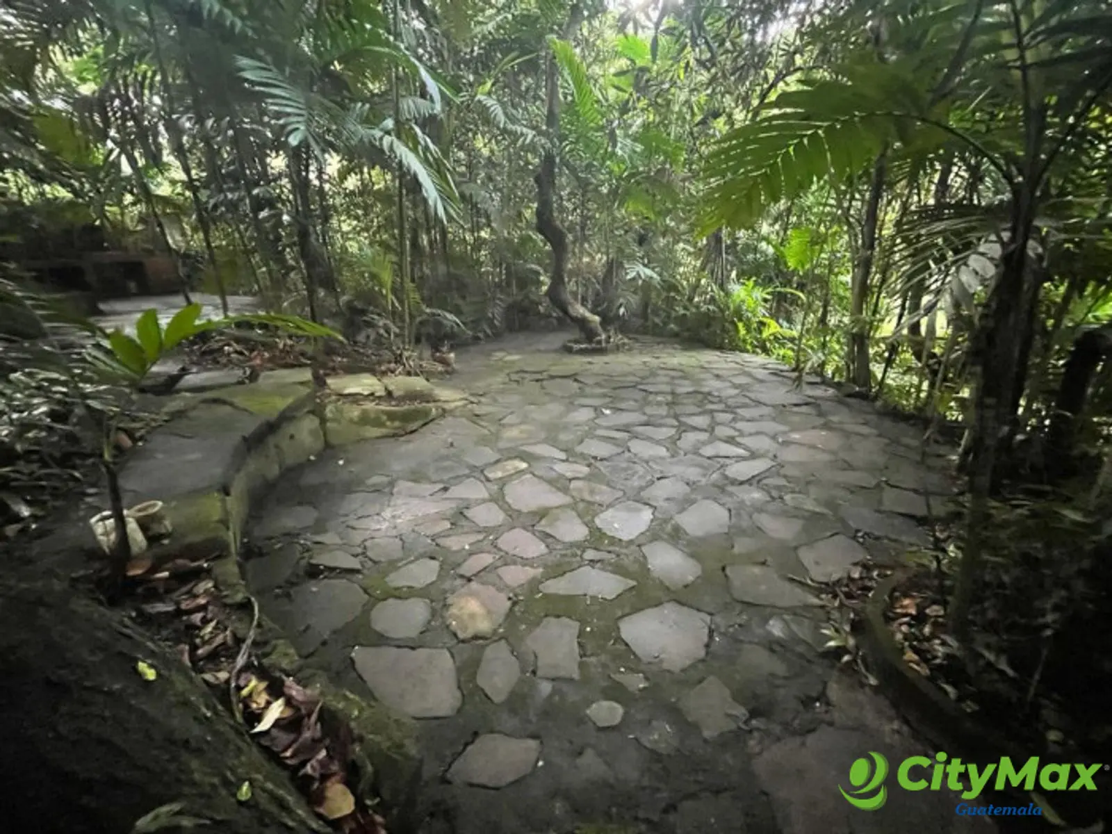 Terreno en venta Colonia trinidad zona 15 Guatemala - foto 7