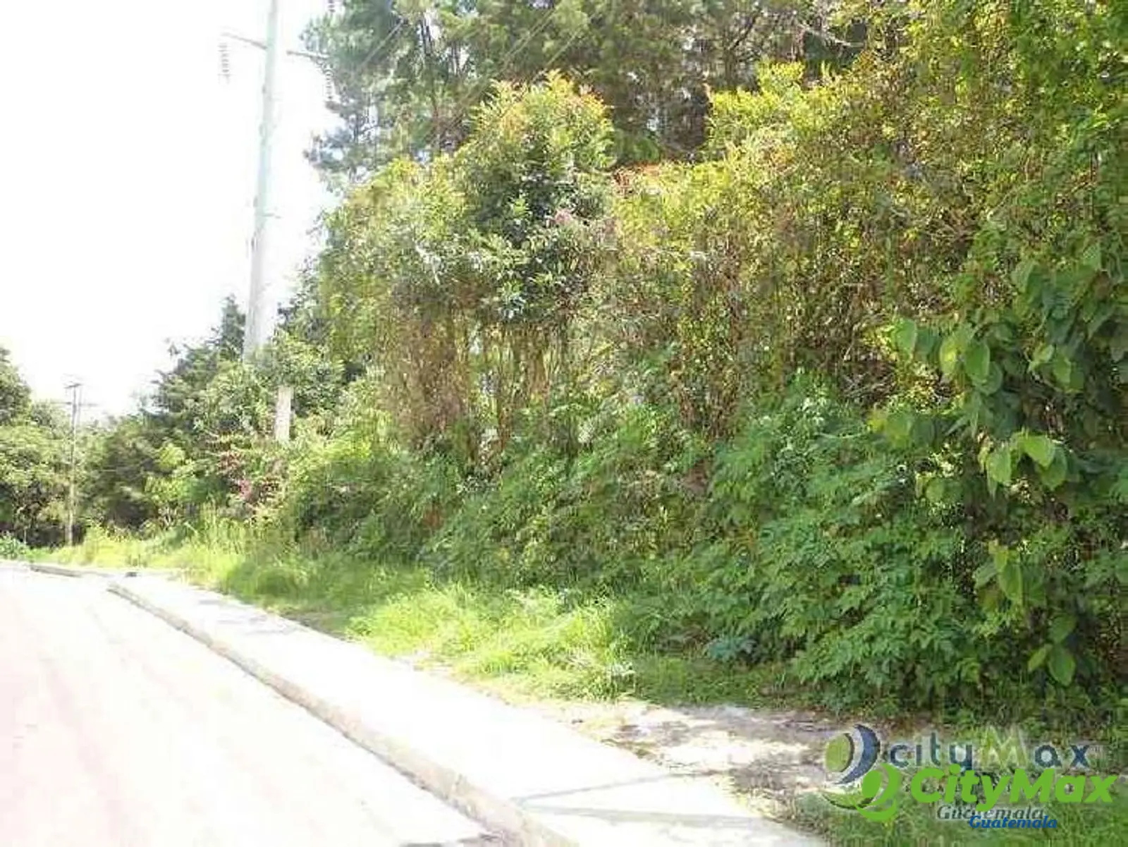 Terreno comercial en renta Carretera a El Salvador - foto 2