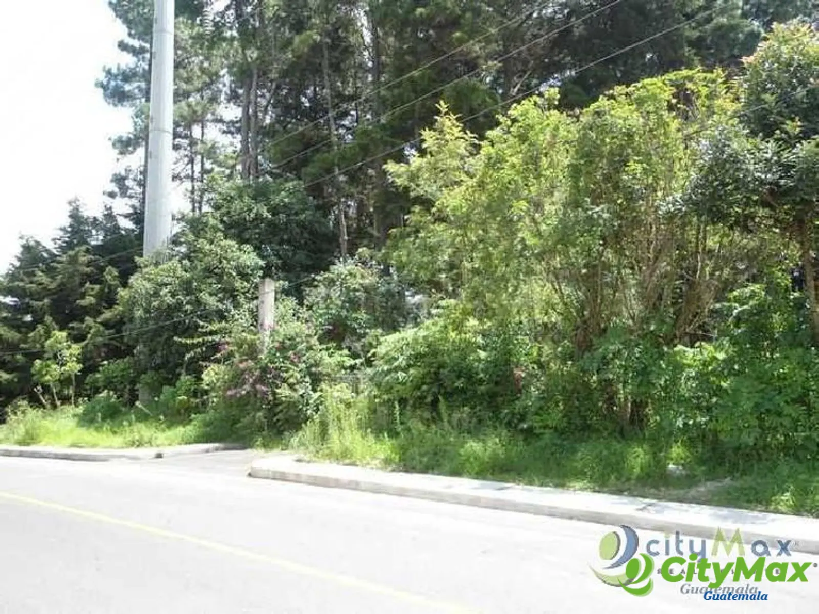 Terreno comercial en renta Carretera a El Salvador - foto 3