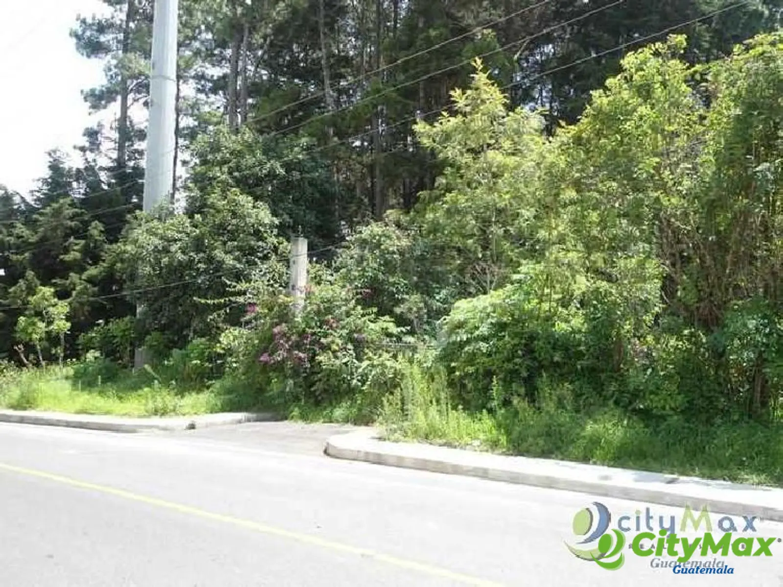 Terreno comercial en renta Carretera a El Salvador - foto 4