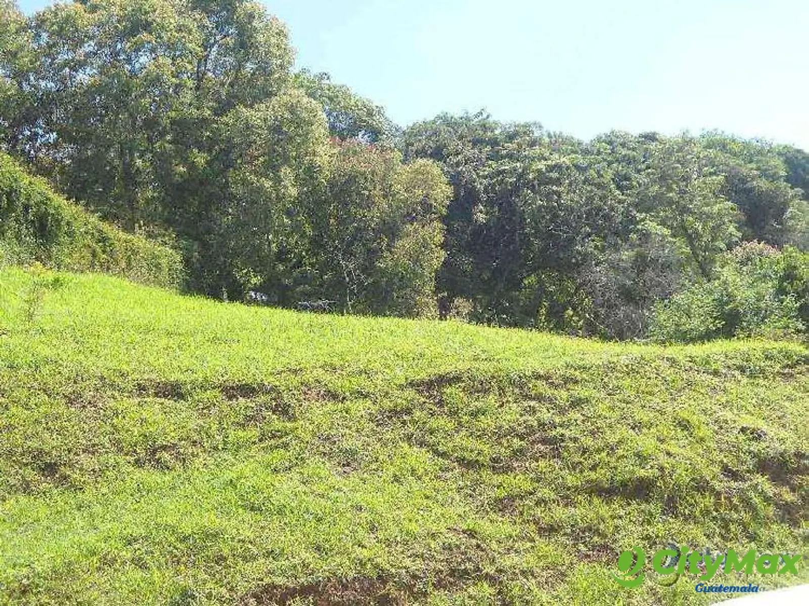 TERRENO RESIDENCIAL EN VENTA SAN GERMAN DEL BOSQUE FRAI - foto 5