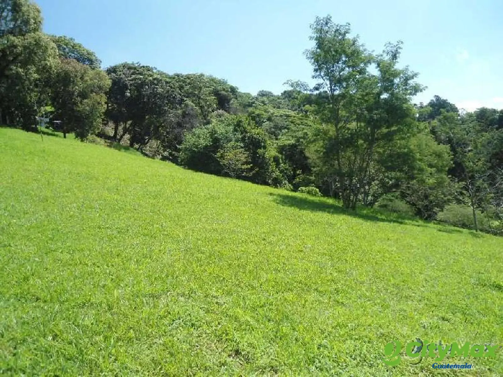TERRENO RESIDENCIAL EN VENTA SAN GERMAN DEL BOSQUE FRAI - foto 3