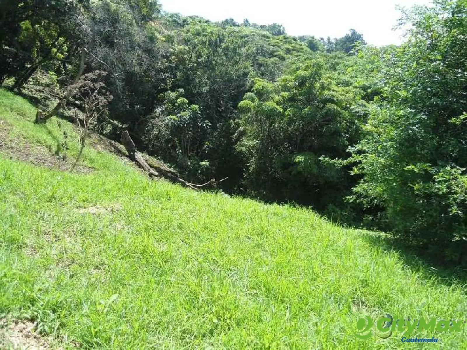 TERRENO RESIDENCIAL EN VENTA SAN GERMAN DEL BOSQUE FRAI - foto 4