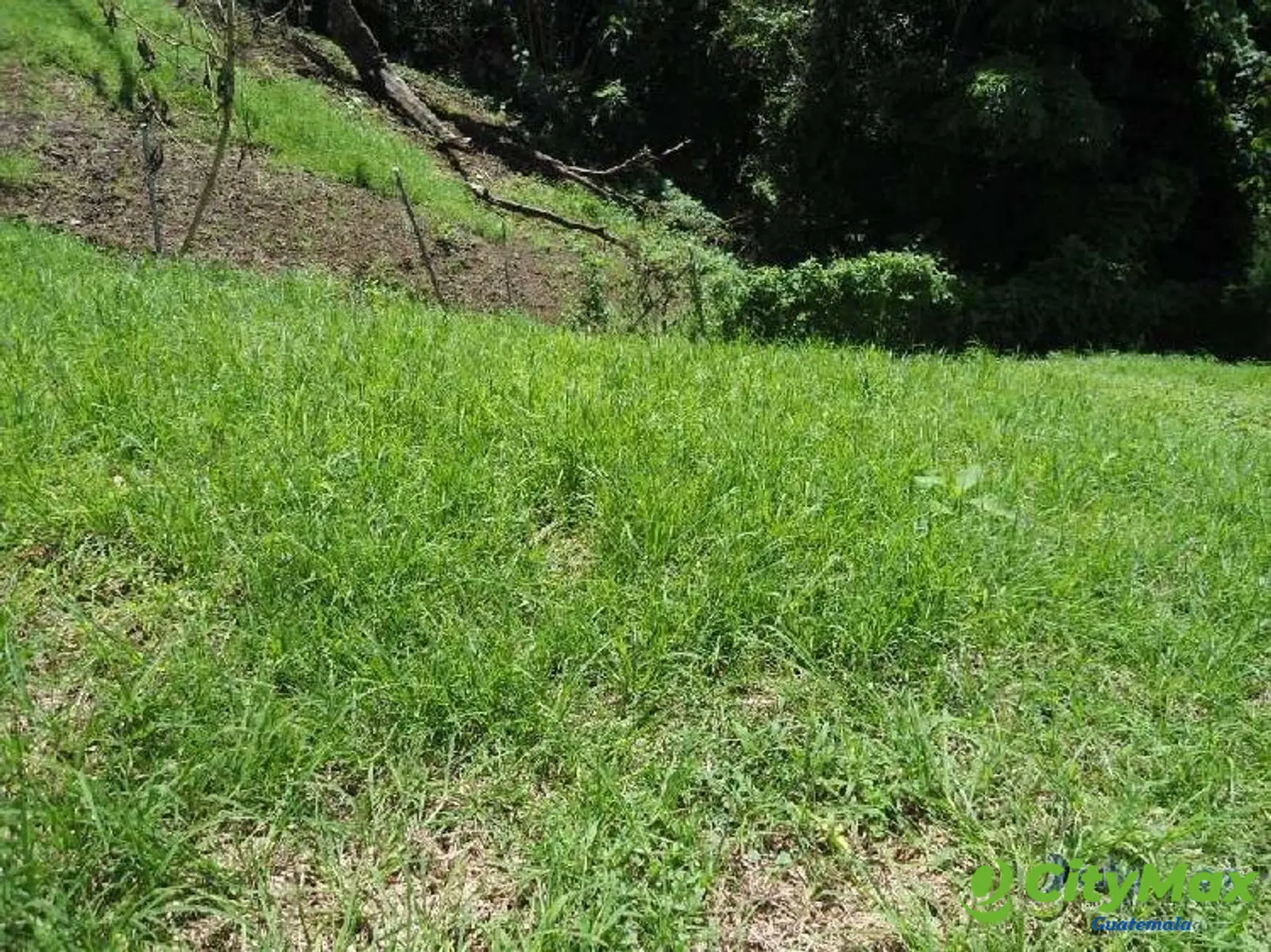 TERRENO RESIDENCIAL EN VENTA SAN GERMAN DEL BOSQUE FRAI - foto 7