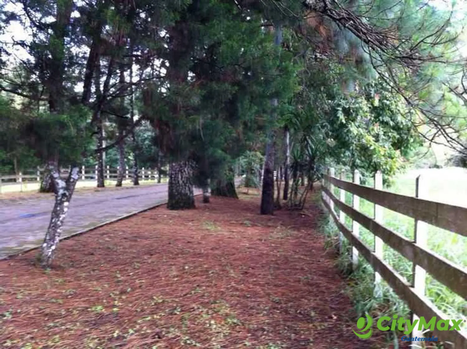 CityMax vende Terreno en Santa Elena del Lago - foto 6